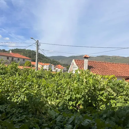 Casa Joao Fidalgo *
